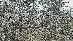 area3-20250321163121.jpg