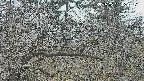 area3-20250321164120.jpg