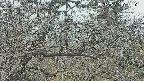 area3-20250321171120.jpg