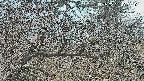 area3-20250321173117.jpg