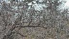 area3-20250321175117.jpg