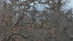 area3-20250321182118.jpg
