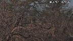 area3-20250321183116.jpg
