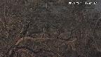 area3-20250321184118.jpg