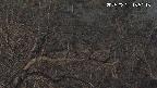 area3-20250321185116.jpg