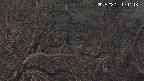 area3-20250321191117.jpg