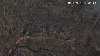 area3-20250321194117.jpg