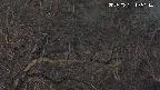 area3-20250321195116.jpg