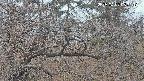 area3-20250402053118.jpg