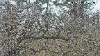 area3-20250402060121.jpg