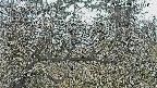 area3-20250402061120.jpg