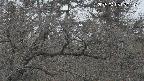 area3-20250403050115.jpg