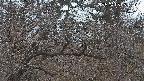 area3-20250403051120.jpg