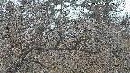 area3-20250403052118.jpg