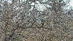 area3-20250403053120.jpg