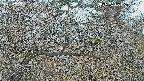 area3-20250403060122.jpg