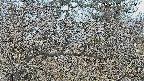 area3-20250403061121.jpg