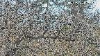 area3-20250403063123.jpg