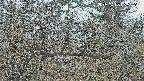 area3-20250403065121.jpg