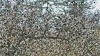 area3-20250403071118.jpg