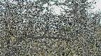 area3-20250403072117.jpg