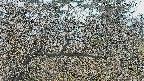 area3-20250403080120.jpg