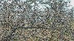 area3-20250403090122.jpg
