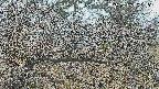 area3-20250403092121.jpg