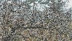 area3-20250403093119.jpg