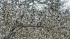 area3-20250403103119.jpg