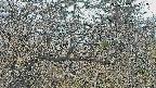 area3-20250403115118.jpg