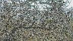 area3-20250403120122.jpg