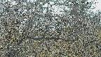 area3-20250403122120.jpg