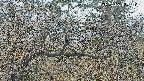 area3-20250403123120.jpg