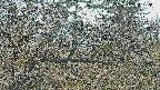 area3-20250403124121.jpg