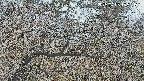 area3-20250403135119.jpg