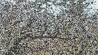 area3-20250403140121.jpg