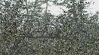 area3-20250403155119.jpg