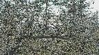 area3-20250403163120.jpg