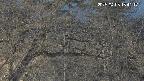area3-20250403184118.jpg