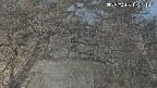 area3-20250403192117.jpg