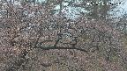 area3-20250411050117.jpg