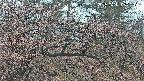 area3-20250411052119.jpg