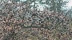 area3-20250411055120.jpg