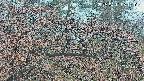 area3-20250411061120.jpg
