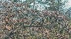 area3-20250411071120.jpg