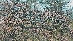 area3-20250411075121.jpg