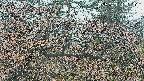 area3-20250411112119.jpg