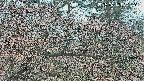 area3-20250412072121.jpg