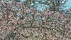 area3-20250412104121.jpg
